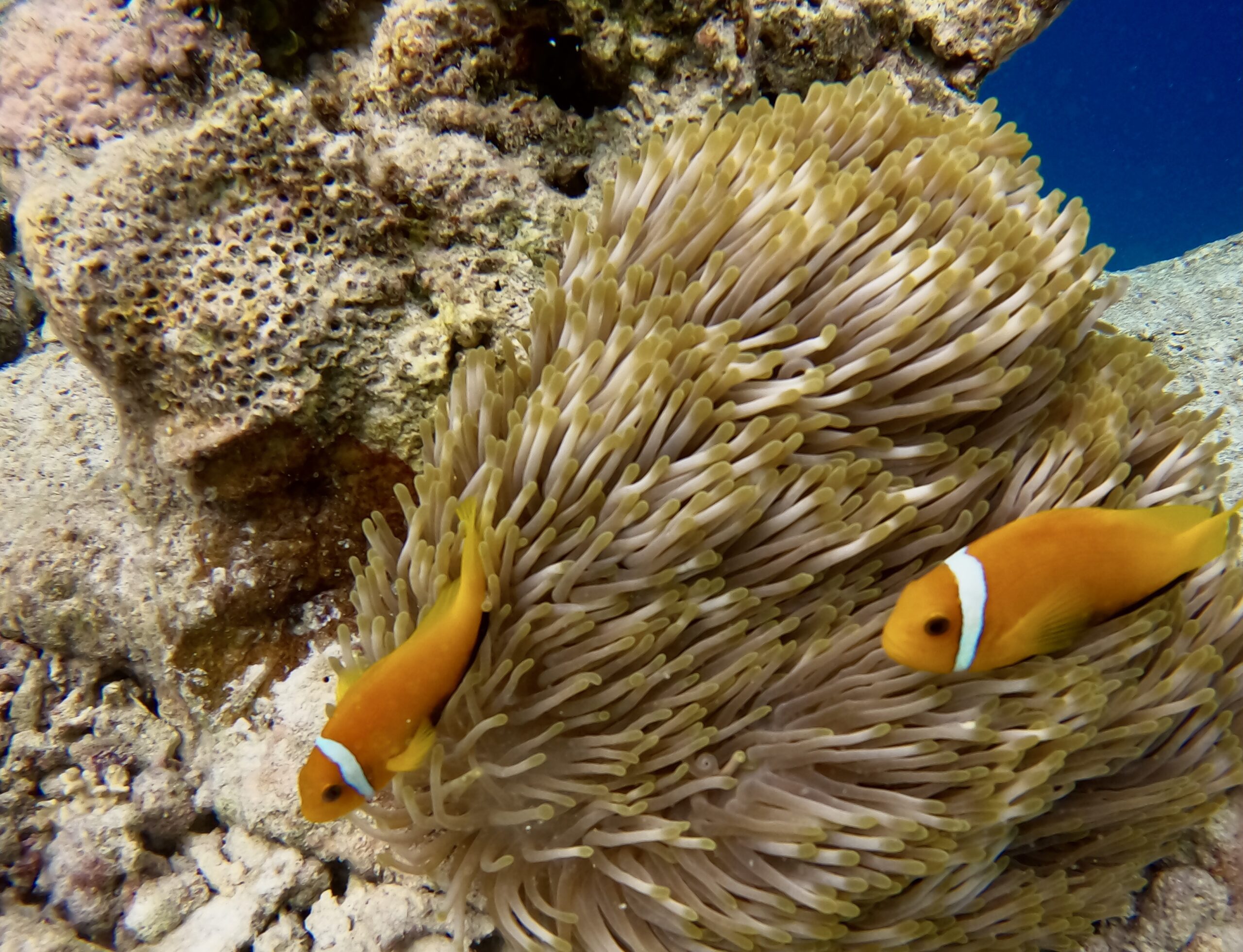 DCIM100GOPROGOPR0205.JPG