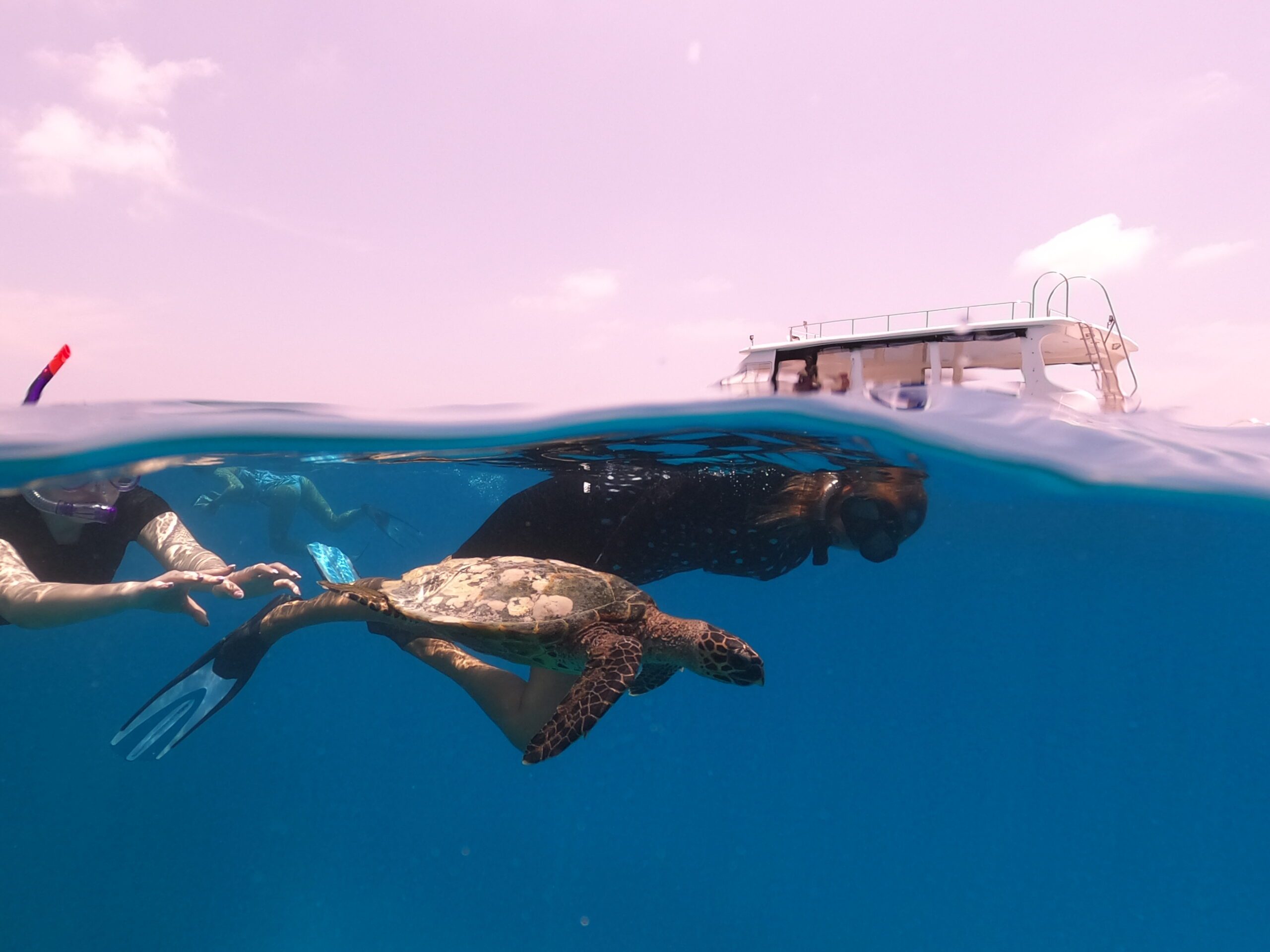 DCIM100GOPROGOPR5883.JPG